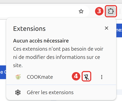 Menu des extensions, pièce de puzzle et épingle encadrées