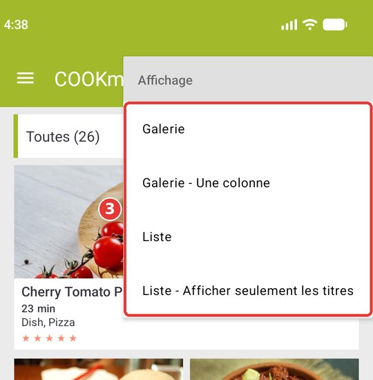 Menu Affichage avec les quatre mises en page